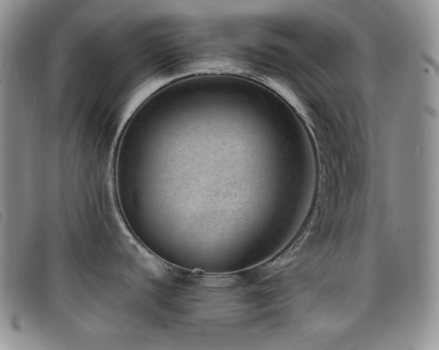 X0000098201440200804241242