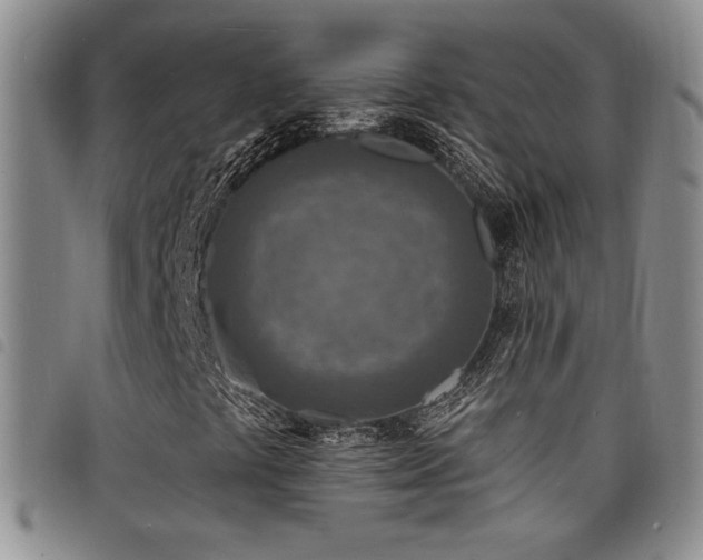 X0000098201441200804241241