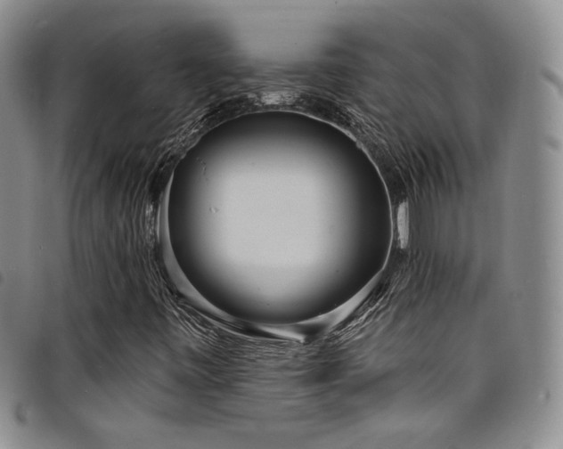 X0000098201443200804241241