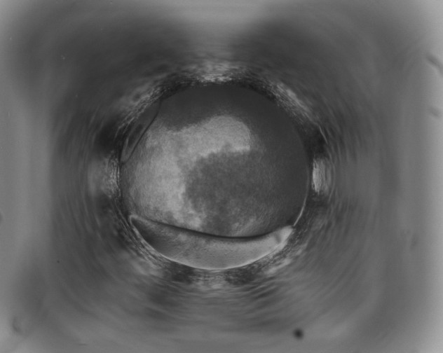 X0000098201444200804241241