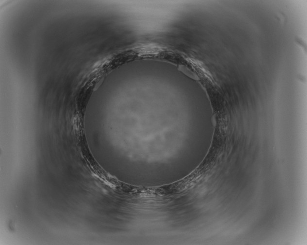 X0000098201445200804241241