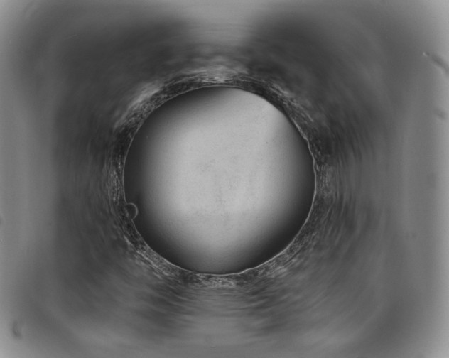 X0000098201446200804241241
