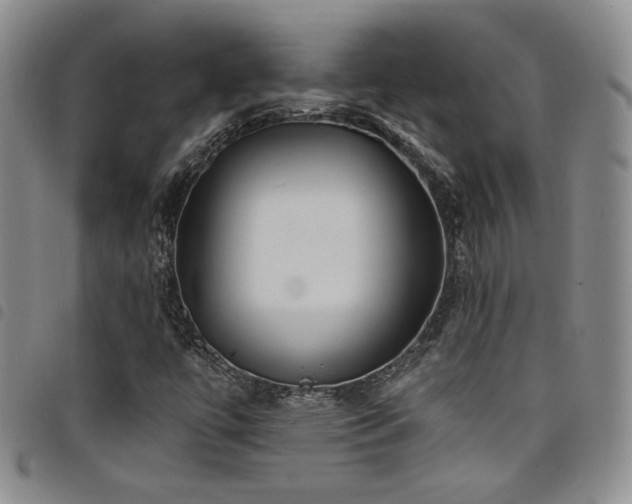 X0000098201447200804241241