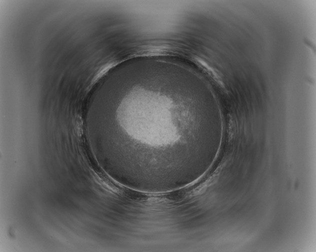 X0000098201449200804241241