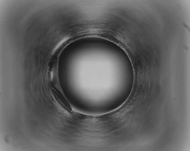 X0000098201450200804241241