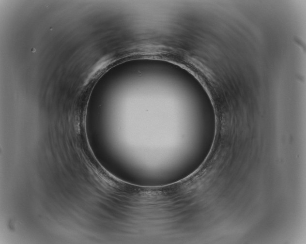 X0000098201451200804241241