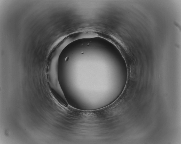 X0000098201452200804241241
