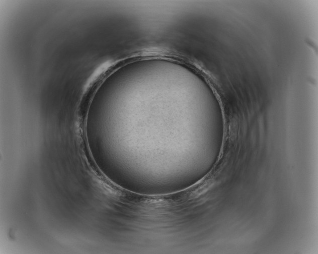 X0000098201454200804241241