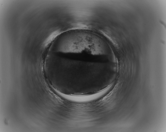 X0000098201455200804241241