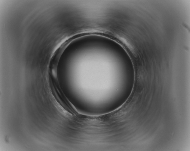 X0000098201460200804241241