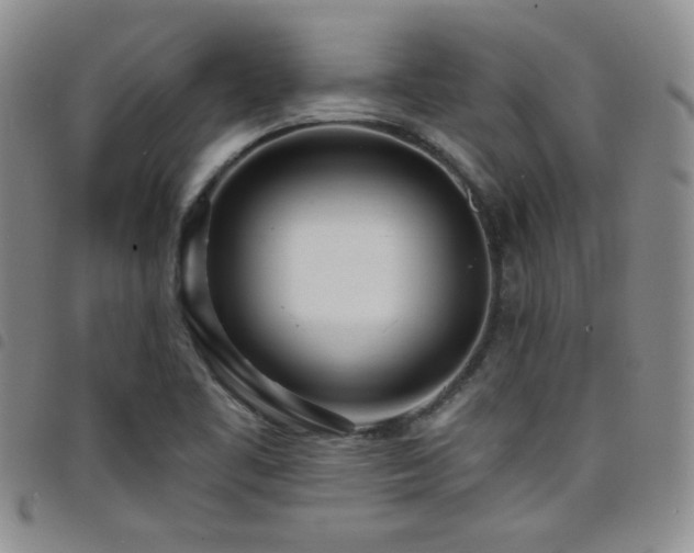 X0000098201461200804241241