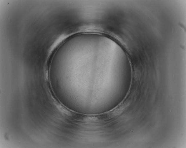 X0000098201462200804241241