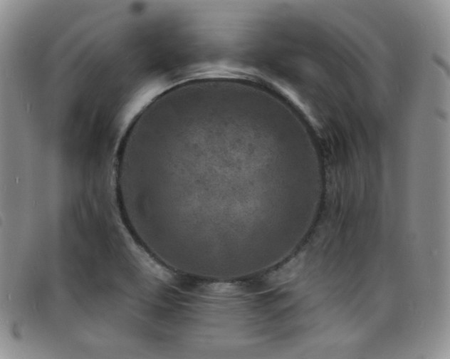 X0000098201463200804241241