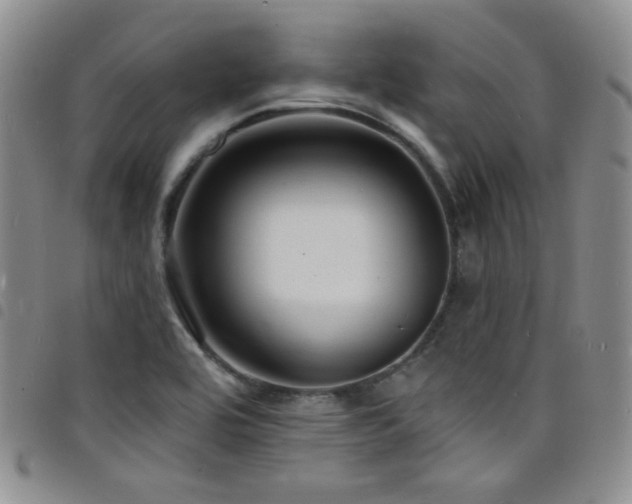 X0000098201464200804241241