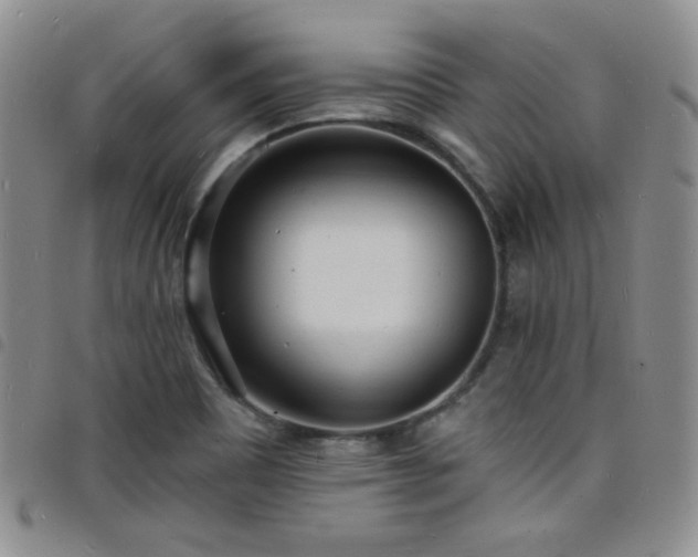 X0000098201465200804241241