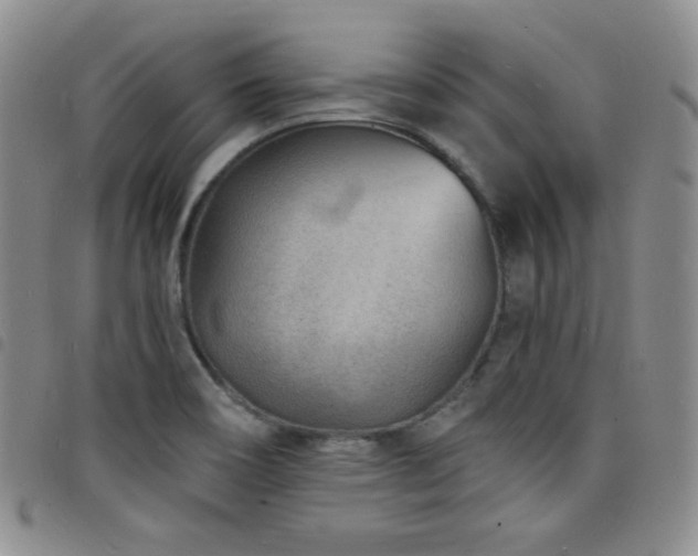 X0000098201466200804241241