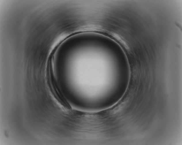 X0000098201469200804241241