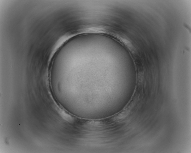 X0000098201470200804241241