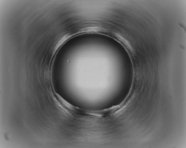 X0000098201473200804241241