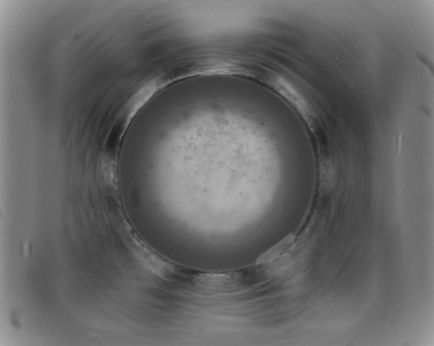 X0000098201481200804241241