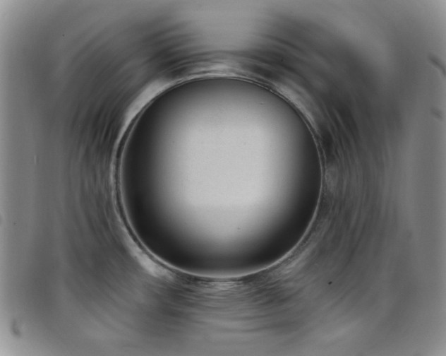 X0000098201482200804241241