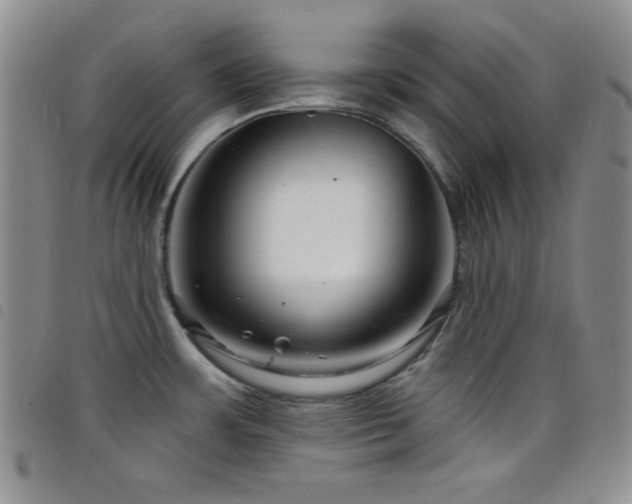 X0000098201483200804241241