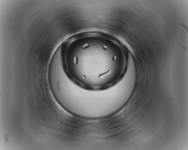 X0000098201484200804241241
