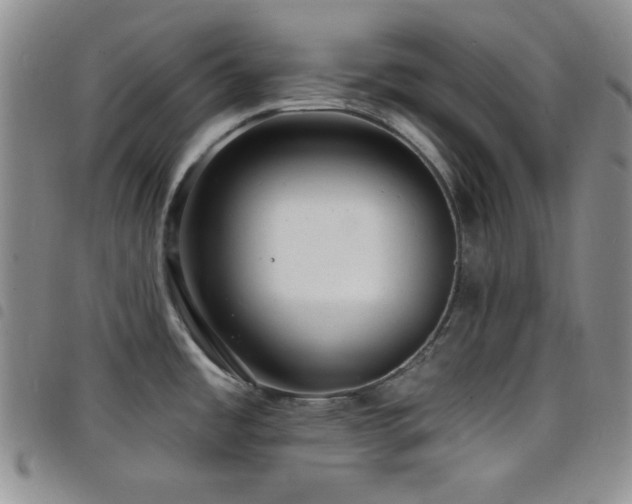 X0000098201485200804241241
