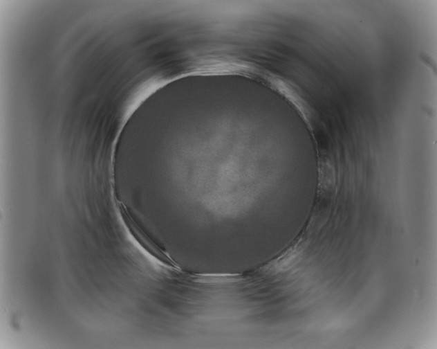 X0000098201487200804241241