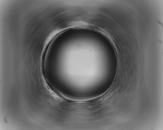 X0000098201488200804241241