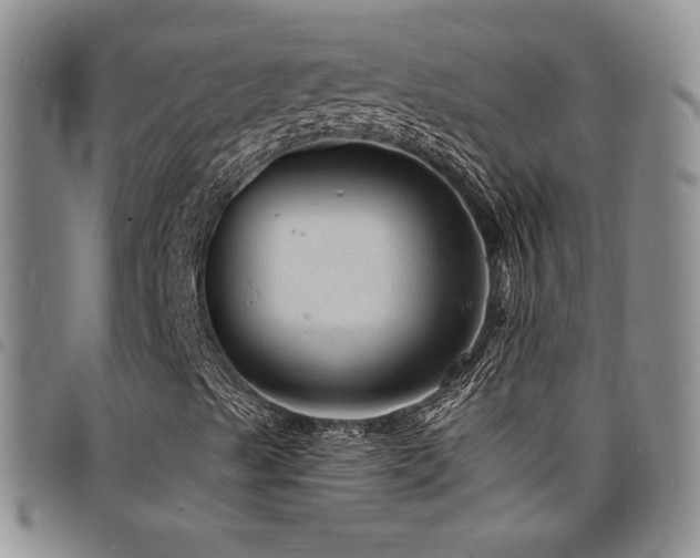 X0000098201489200804241240