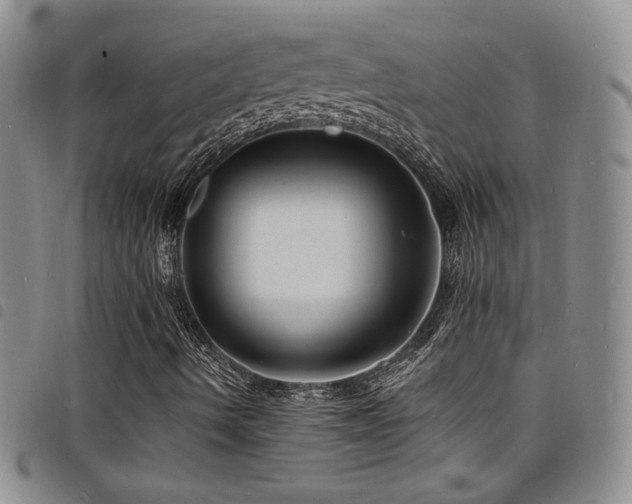 X0000098201490200804241240