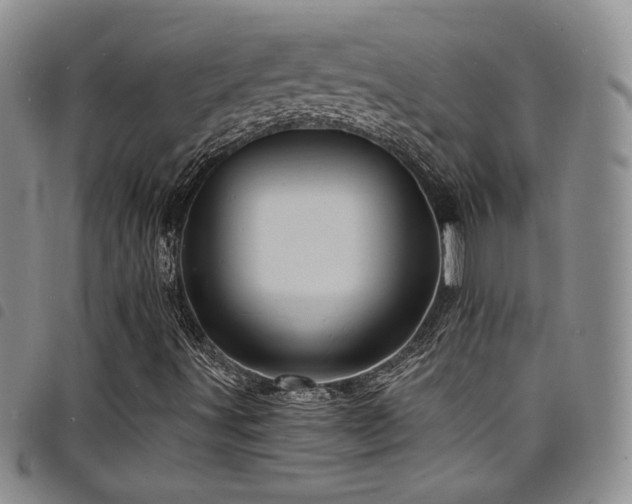 X0000098201491200804241240