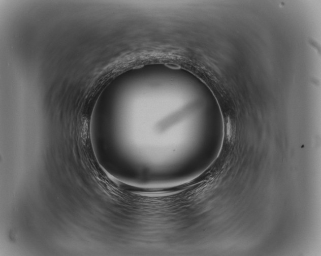 X0000098201492200804241240