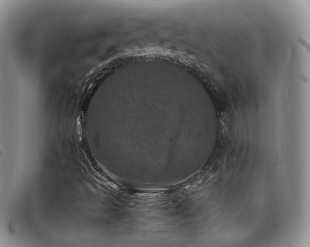 X0000098201493200804241240