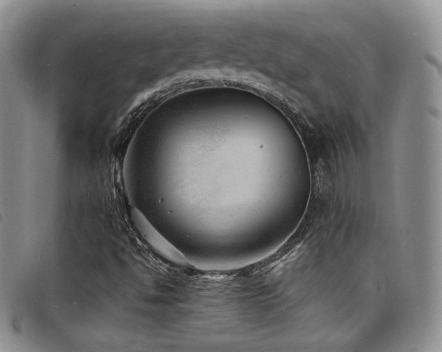X0000098201494200804241240
