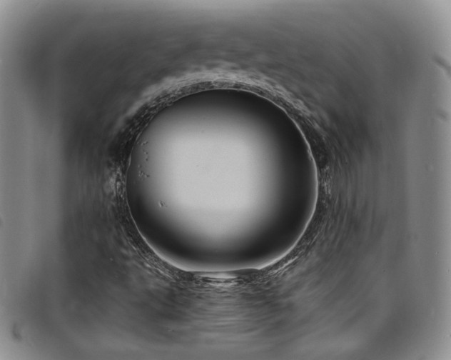 X0000098201495200804241240