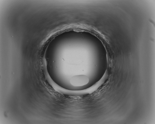 X0000098201496200804241240