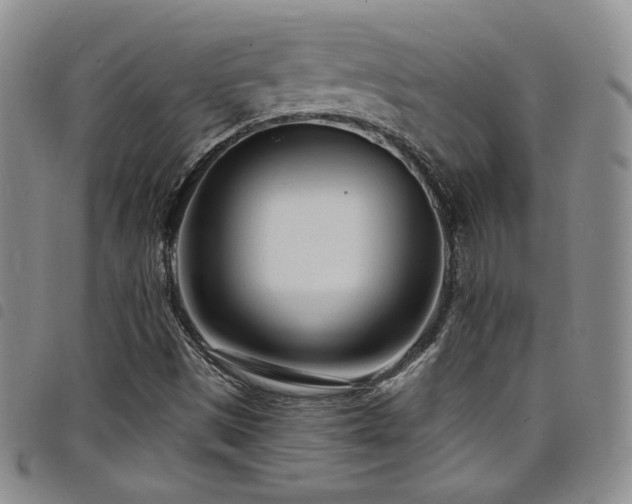 X0000098201497200804241240