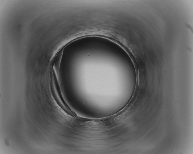 X0000098201500200804241240