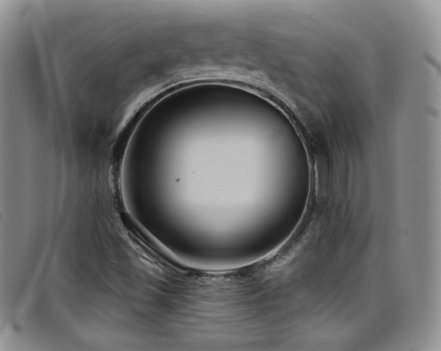 X0000098201501200804241240
