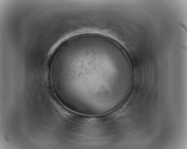 X0000098201502200804241240