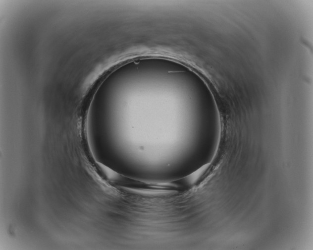 X0000098201503200804241240