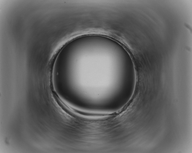 X0000098201504200804241240