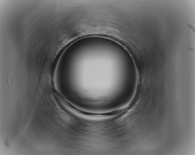 X0000098201505200804241240