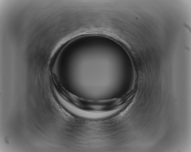 X0000098201506200804241240
