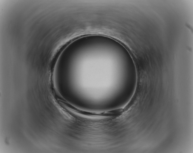X0000098201507200804241240