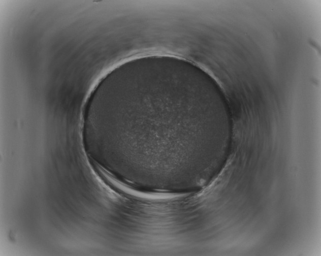 X0000098201508200804241240