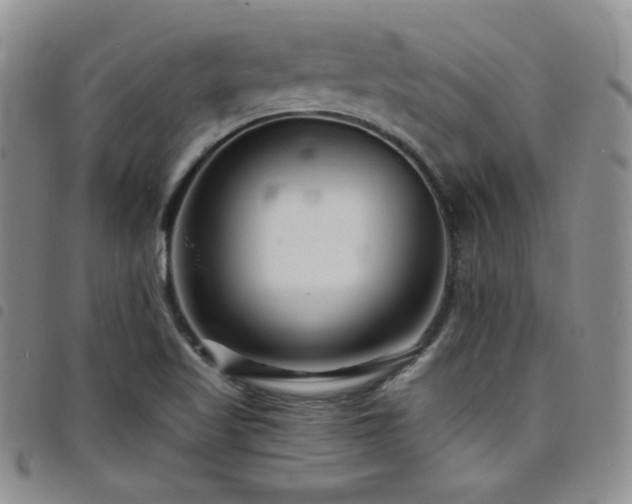 X0000098201509200804241240