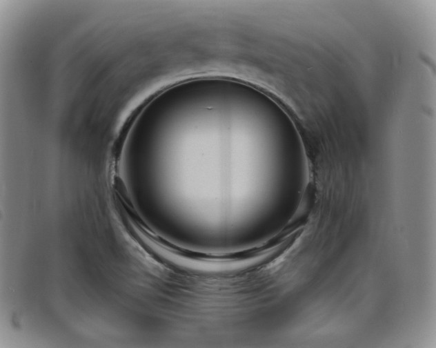 X0000098201510200804241240